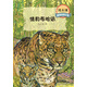 沈石溪激情動(dòng)物小說(shuō) 情豹布哈依