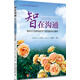 智在溝通 國際漢語(yǔ)課堂教學(xué)與管理案例及解析