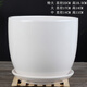 裕軒堂純白色新款陶瓷花盆室內簡(jiǎn)約個(gè)性帶托盤(pán)綠蘿吊蘭蝴蝶蘭多肉盆桌面 尊貴93003白 特大號口徑約22厘米