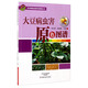 農(nóng)作物病蟲害原色圖譜叢書：大豆病蟲害原色圖譜