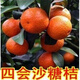 CHUANGSHIJI橘子苗桔子樹(shù)苗果苗果樹(shù)苗苗木地栽南北方適宜種植嫁接苗桔子苗 四會(huì)砂糖橘 4年苗 當(dāng)年結(jié)果