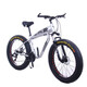 卡莎蒂（CASHAD）雪地車(chē)大輪胎26寸山地車(chē)越野車(chē)沙灘車(chē)微展變速自行車(chē) 雙碟剎單車(chē) 銀黑色 26寸車(chē)27速(油碟)