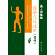 真人實(shí)體經(jīng)絡(luò )穴位掛圖（男性版）