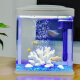 SARYOR 小型鱼缸高清玻璃生态内置过滤器水族箱金鱼龟缸虾缸 238珊瑚套餐