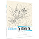 初學(xué)者之友：白描荷花