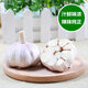 農(nóng)大姐妹 蒜 大蒜 新鮮大蒜頭  山東金鄉(xiāng)特產(chǎn)大蒜 云南干蒜頭十成干 5斤