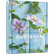 綠手指園藝叢書(shū)：鐵線(xiàn)蓮與藤蔓植物