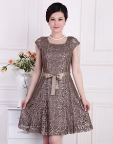 中老年连衣裙夏季 2014新款<em>中年女装短袖</em>蕾丝