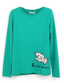Z2013秋冬新品 韩版舒适女款百搭<em>T恤女长袖</em>C