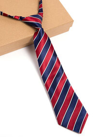 【小孩领带】价格_图片_品牌_怎么样-京东商城