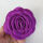 紫红色10厘米直径