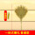 【3号】竹扫把一体 【高1.69米】