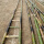 3.0米竹梯(清漆防裂耐用)