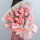 33朵粉玫瑰—浪漫款