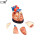 中型心脏解剖模型