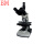 BM-11三目筒易偏光显微镜