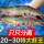 17-21cm【虾王20/30规格】