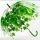 长柄阿波罗拱形树叶透明伞绿色