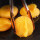 玉米糍粑50个+黄豆粉*5+红糖*5