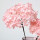 单支粉色绣球花，杆长55厘米