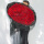 199朵红玫瑰花束——黑纱