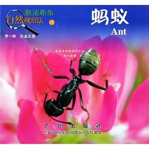 新法布尔自然观察法：蚂蚁11（第1辑）（昆虫王国）