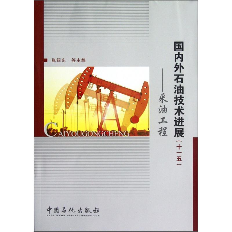 国内外石油技术进展：油工程截图