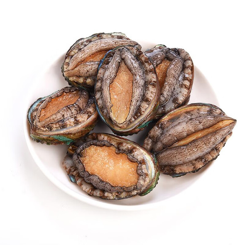 【活鲜】御食之鲜 鲜活大连鲍鱼海鲜水产 烧烤食材 鲍鱼 500g 15-18只