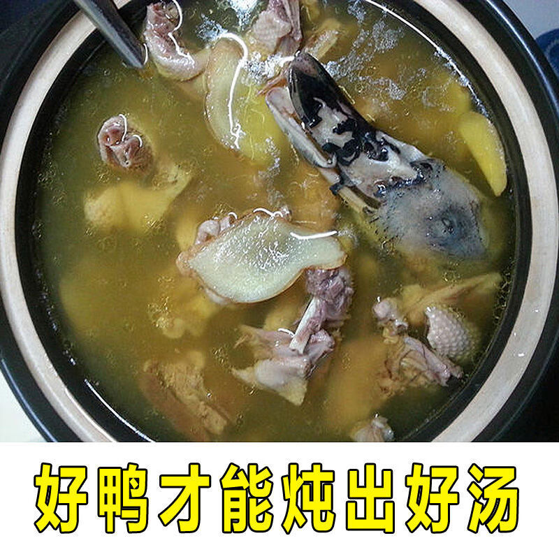 笨鸭,笨鸭品牌