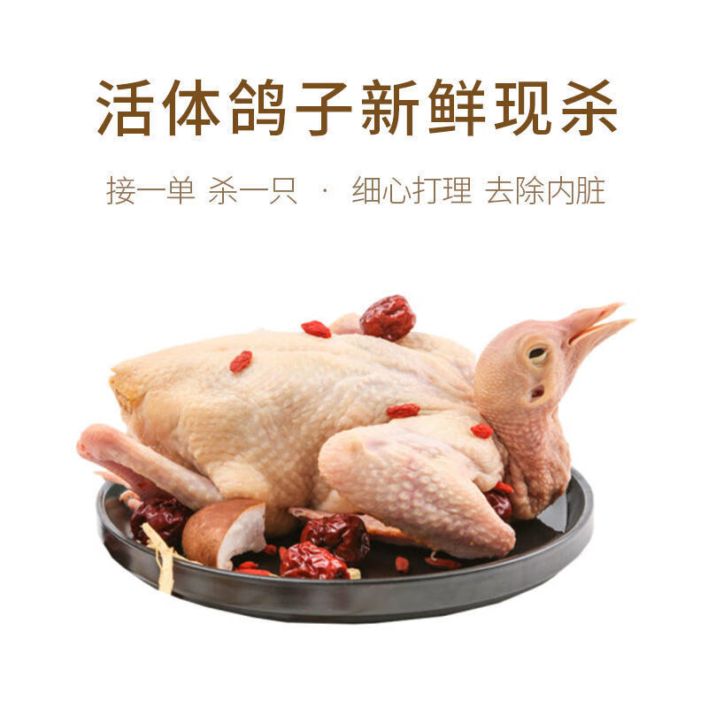鸽子个头3只乳鸽足龄朴园现发400克其他禽类