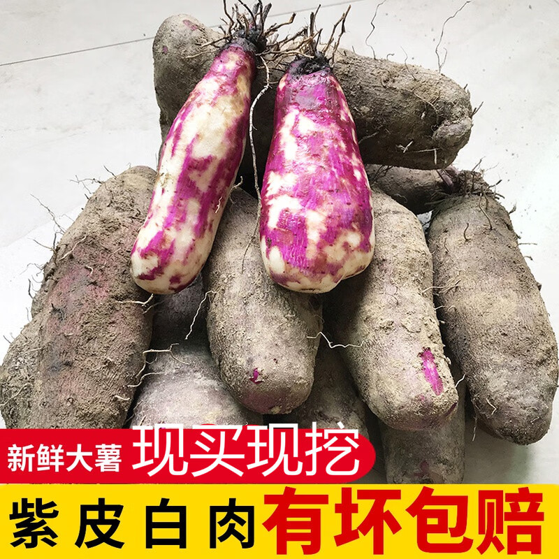 玫栀 紫皮白肉山药带箱5斤新鲜现挖脚板薯白心农家紫淮山毛大薯 1500g