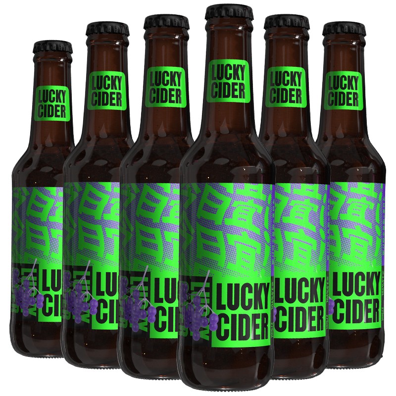 问酿今日宜接骨木西打酒cider果味啤酒275ml6瓶礼箱装daamdegops
