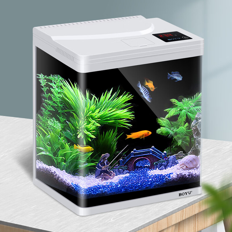 变色水族箱客厅小型迷你造景水草灯乌龟缸草缸免换水办公室孔雀热带鱼