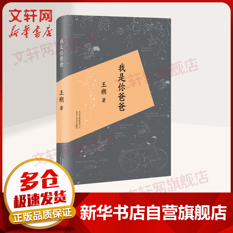 我是你爸爸王朔作品文集
