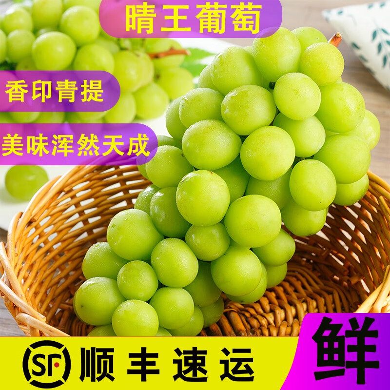新鲜水果 葡萄/提子 阳光玫瑰葡萄(顺丰)当季新鲜3斤 香印青提 晴王