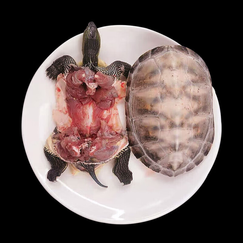 棠鲜生带壳草龟肉生鲜食用乌龟肉新鲜速冻外塘中华草龟老龟450g左右