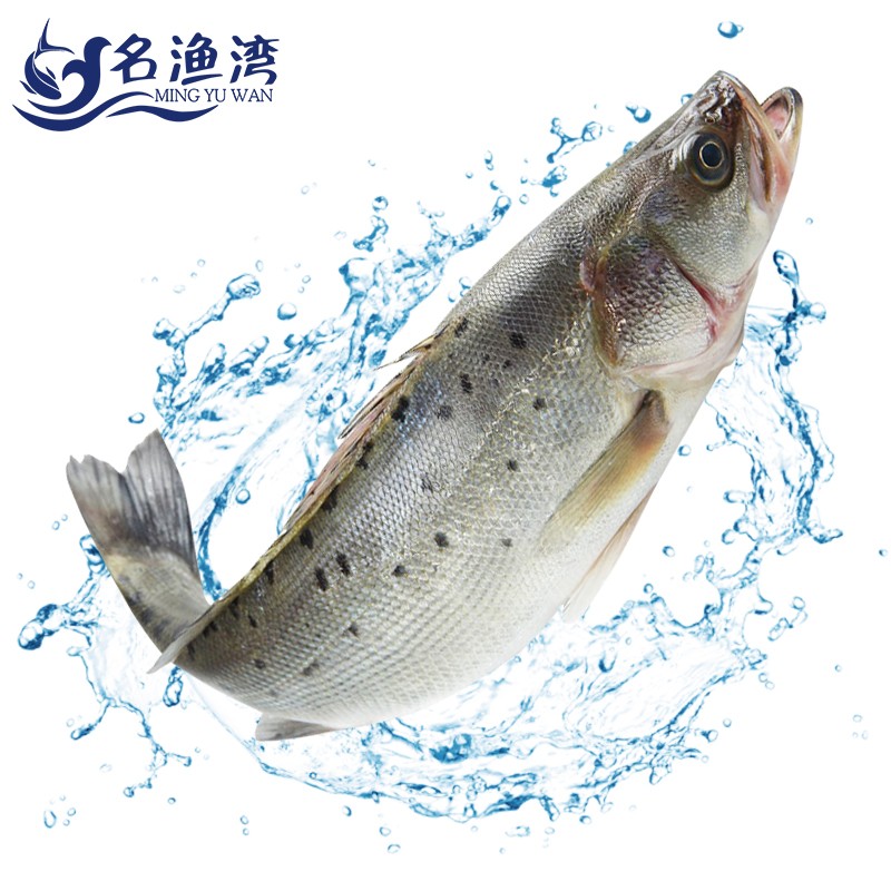 名渔湾海鲈鱼1000g2条装国产鲜冻鲈鱼烧烤火锅食材健康轻食海鲜生鲜