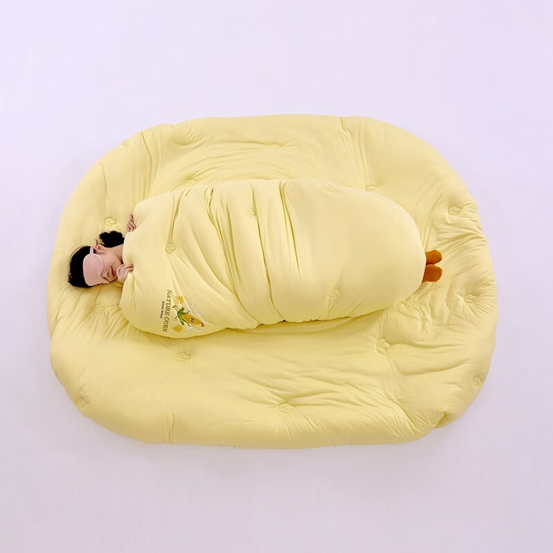 AIDLIA֯άоﱻ˫˼Ӻ񶬱 ͻ+̻ 200*230cm7.5