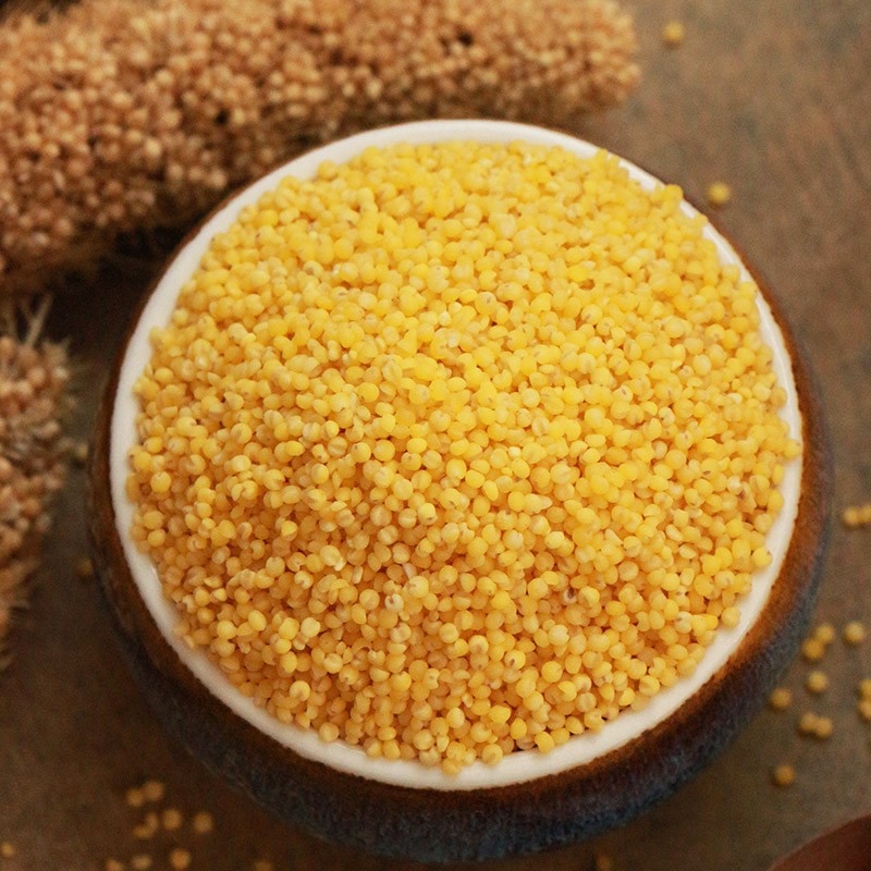 小黄米 五谷杂粮月子米宝宝粥500g 黄小米【新米500g】