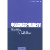 中国强制执行制度改革——理论研究与实践总论 沈德咏,张根大 法律出版社