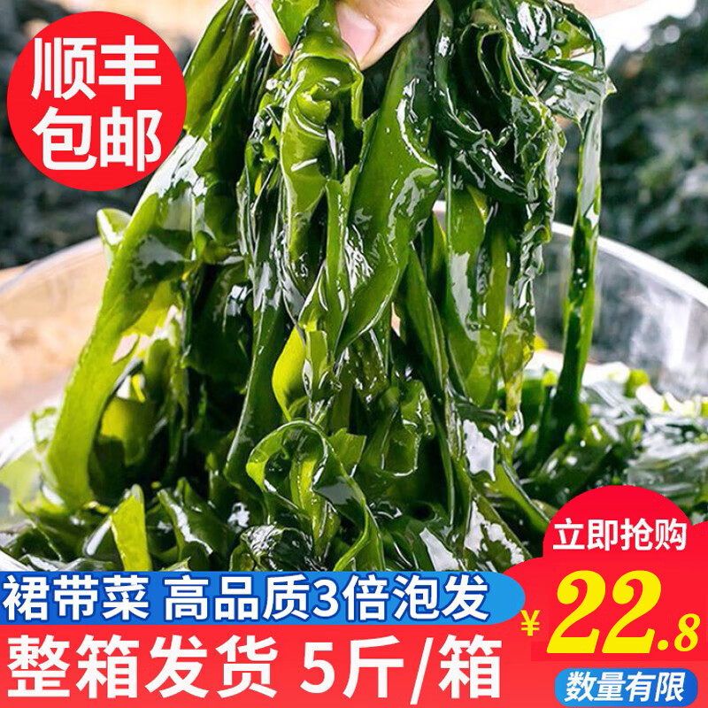 大连盐渍裙带菜 海带苗海白菜 半干裙带菜 嫩芽烫三秒 海带芽海菠菜