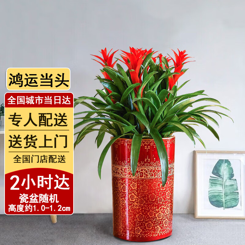 ܽ԰СʱܽǮɢβֲڿҵǨ ˵ͷ꣨չͼ