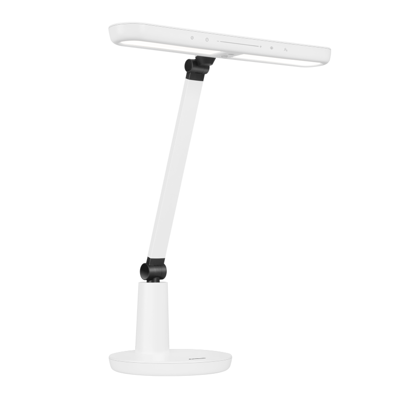 £Panasonic̨AAAAĄѧϰ۵ܸӦƼǫ̈ͯ 