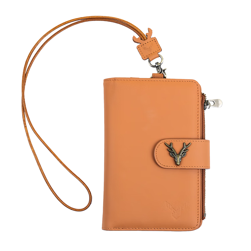 ¹ʦǮһ๦ܷˢɹҲ֤ЯռǮ ɫҲ