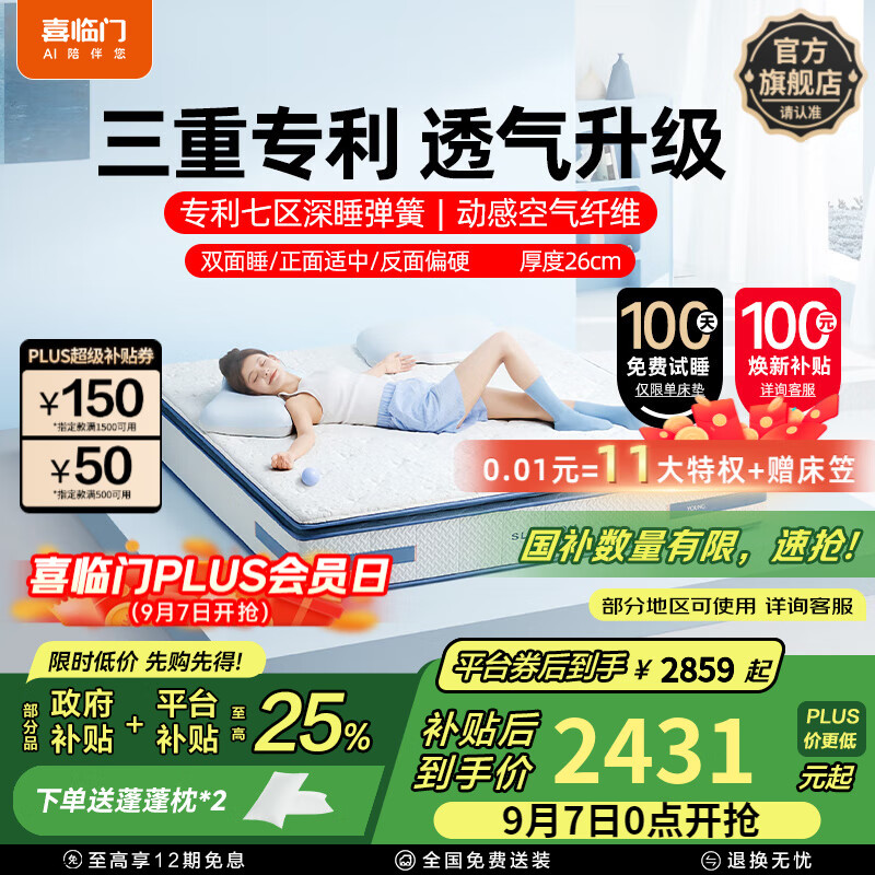 ϲplus漹͸ϯ˼ɴά plus˫˯/26cm 1.5*2ףעߴ磩