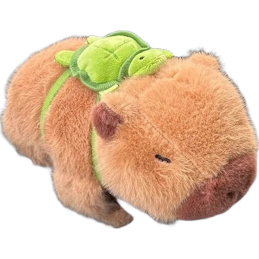 ƤžžȦװˮలȫװżп̨ڼ ɫСڹ꿨ƤžžȦ չ22