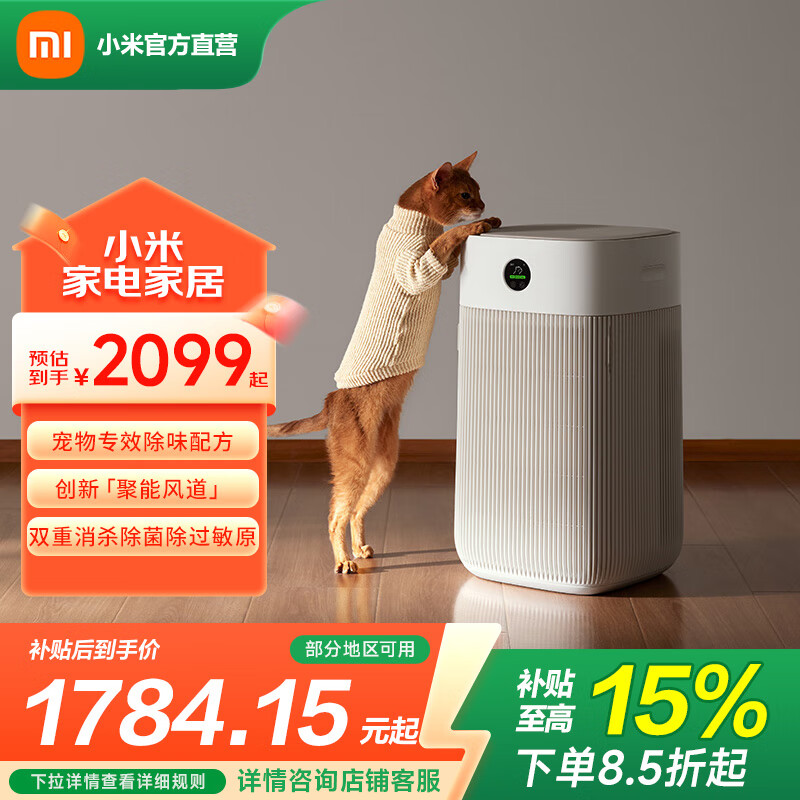 ׼С׳ ζëȥζ ëƤмﾻ ׼ҳ