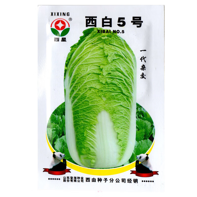 大白菜菜种蔬菜菜籽秋白种菜基地8kg蔬菜菌类