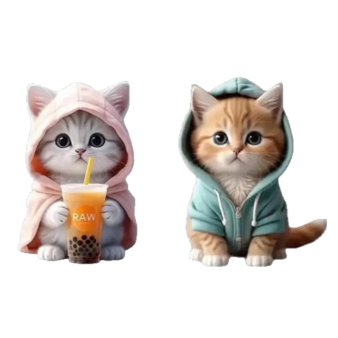 2װɰè޹ˮǿСèװƷڰڼ 2װɫСè+ɫСè