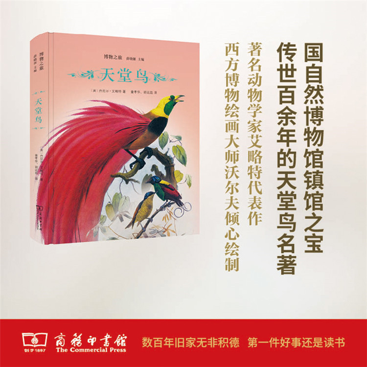 天堂鸟(博物之旅) 【美】丹尼尔·艾略特 商务印书馆